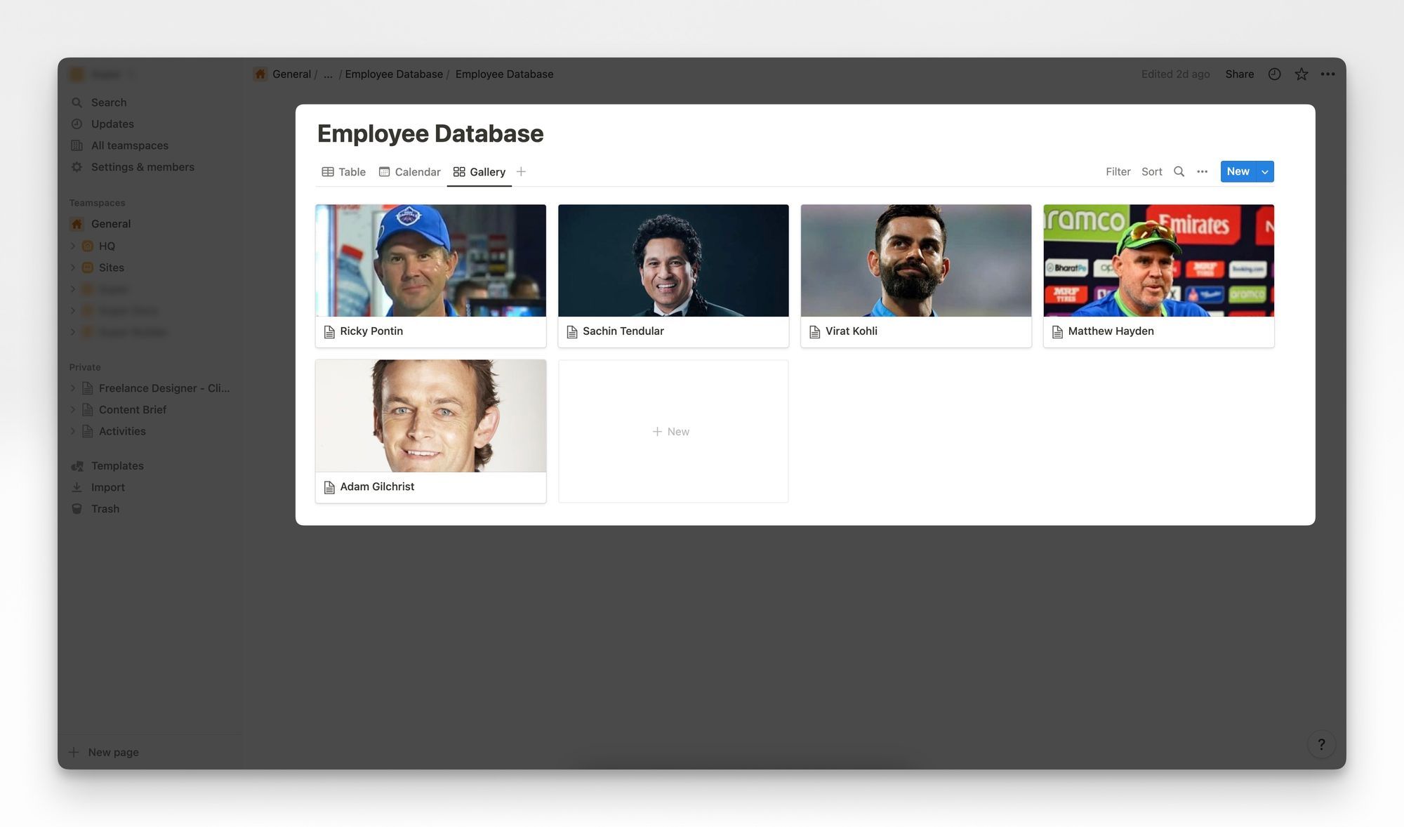 Notion Gallery View Guide: Making Images Show