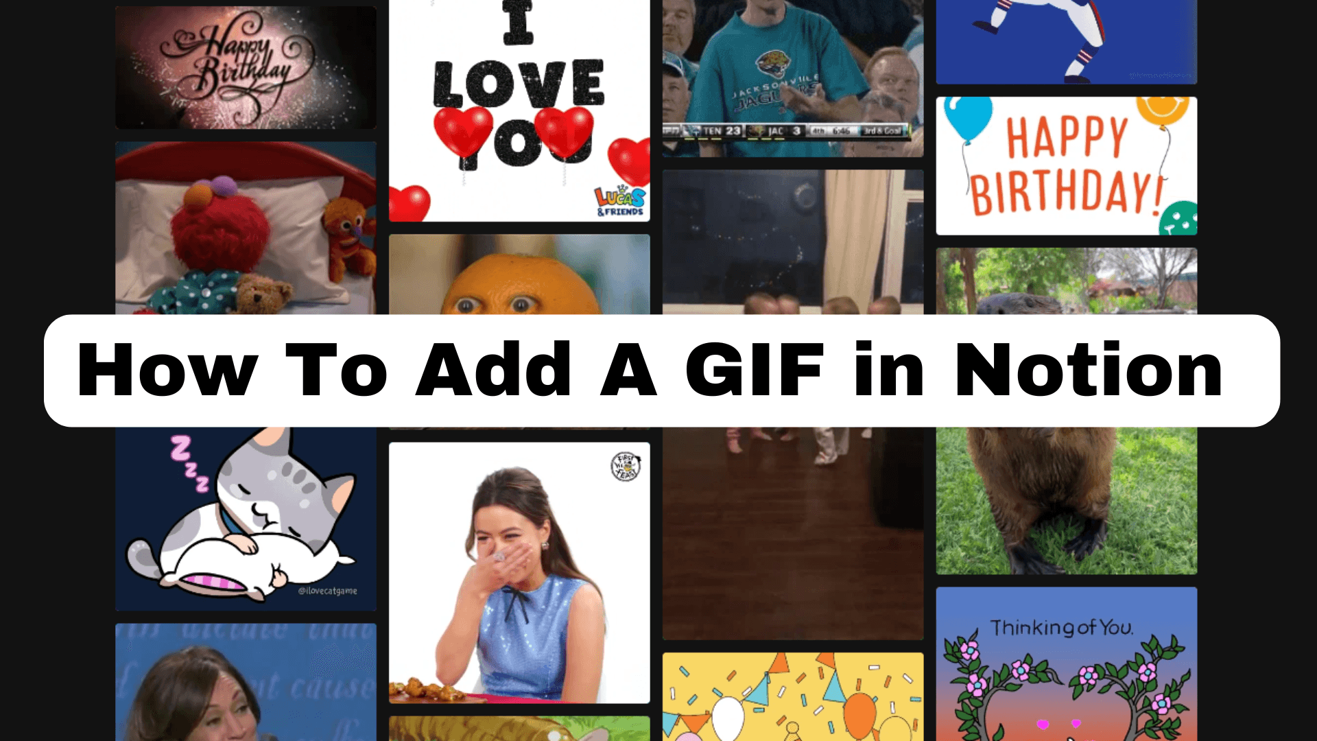 How To Add A GIF in Notion (2025)